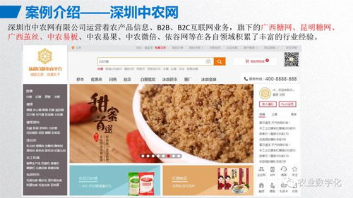 大宗農(nóng)產(chǎn)品交易平臺建設(shè)方案